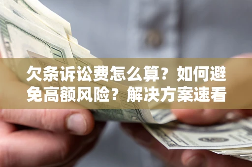 北京欠条诉讼费怎么算？如何避免高额风险？解决方案速看！