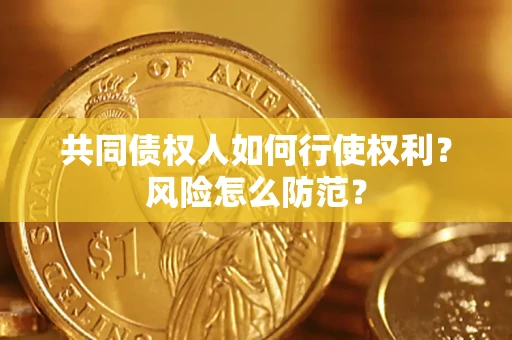北京共同债权人如何行使权利？风险怎么防范？