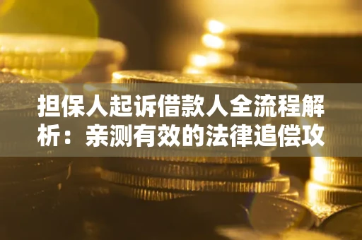 北京担保人起诉借款人全流程解析：亲测有效的法律追偿攻略