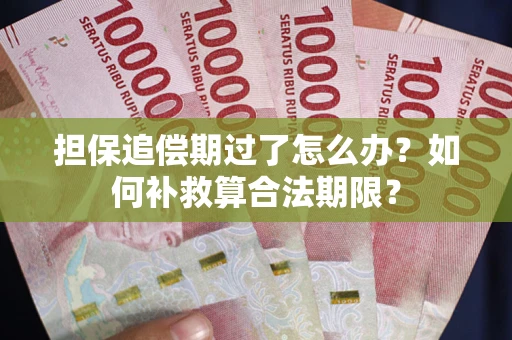 北京担保追偿期过了怎么办？如何补救算合法期限？